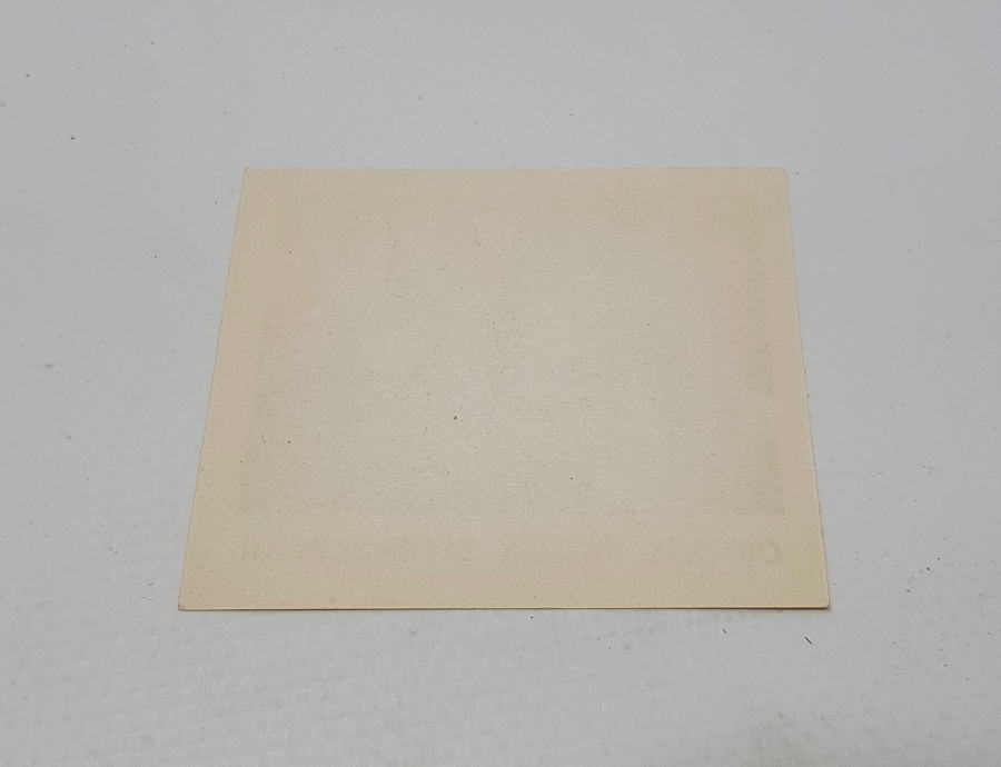 CUMHURİYET BAŞLARI ÇOK NADİR OKUMA-YAZMA SEFERBERLİĞİ KAĞIT YAKA ROZETİ