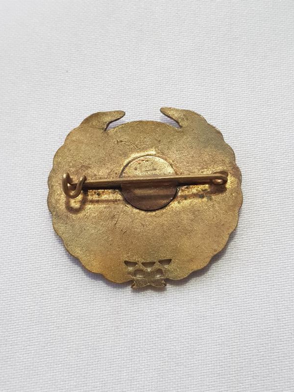 TÜRKİYE KIZILAY CEMİYETİ ONURSAL ÜYE YAZILI NADİR ROZET