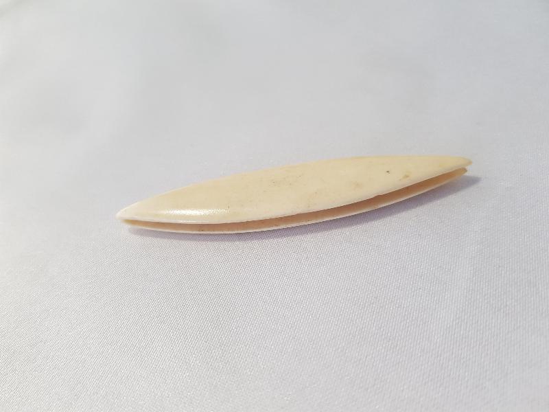 OSMANLI DÖNEMİ KEMİK TERZİ MEKİĞİ