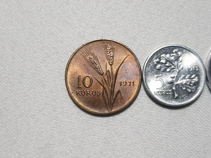 ÇİL HATIRA PARA LOTU