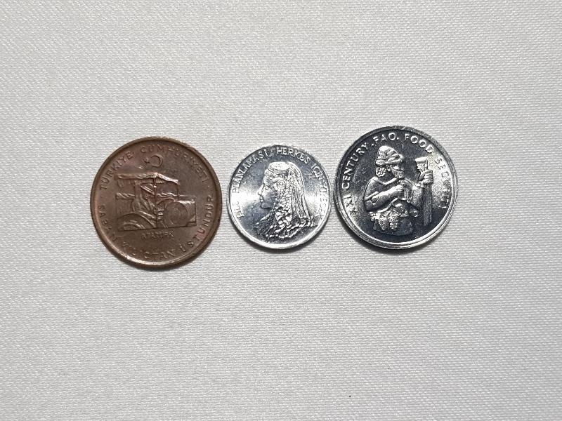 ÇİL HATIRA PARA LOTU