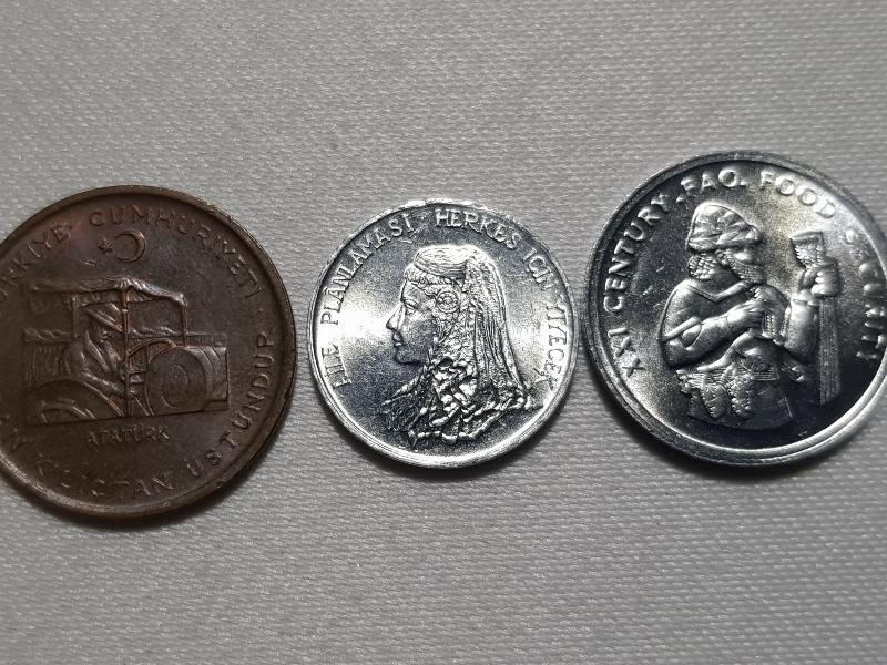 ÇİL HATIRA PARA LOTU