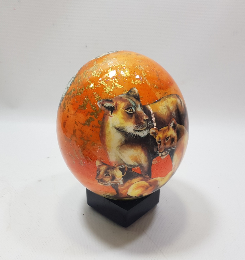 EL BOYAMA DEVE KUŞU YUMURTASI