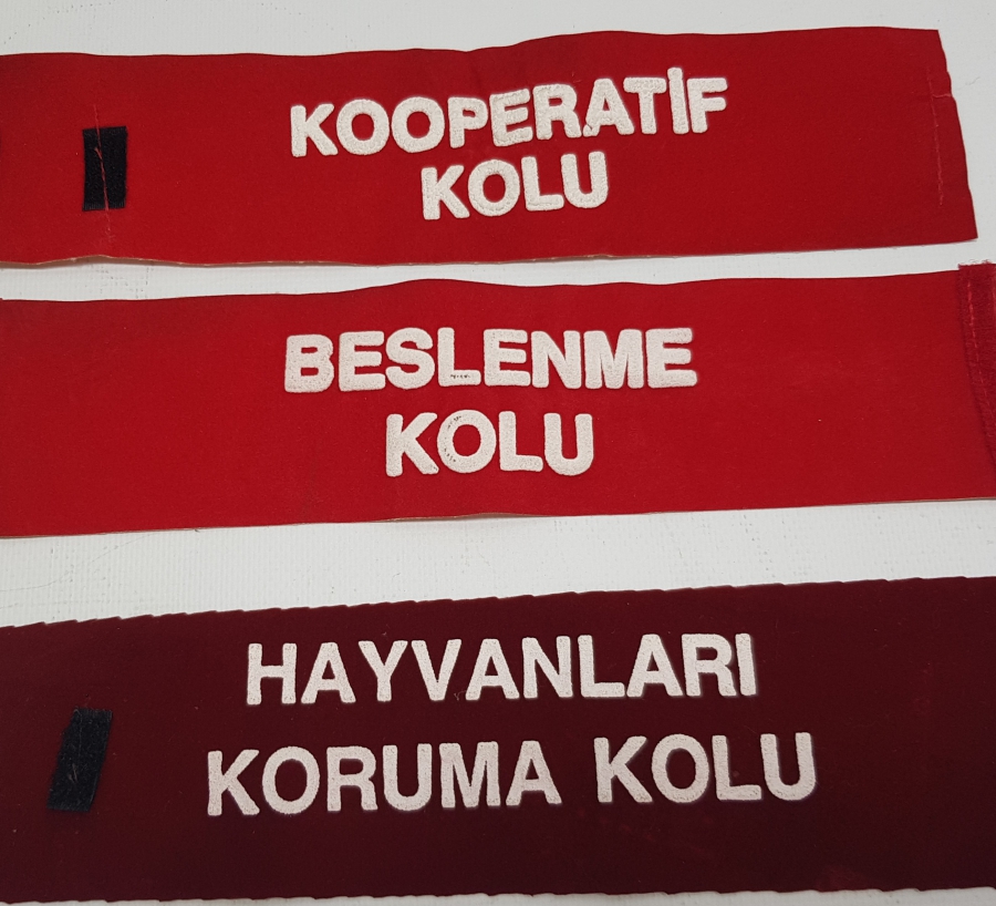 EĞİTİM TARİHİ - EĞİTSEL KOLLAR KOL BANTLARI