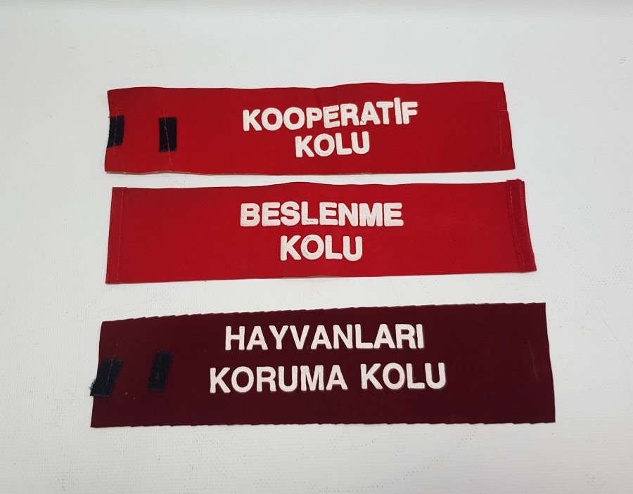 EĞİTİM TARİHİ - EĞİTSEL KOLLAR KOL BANTLARI