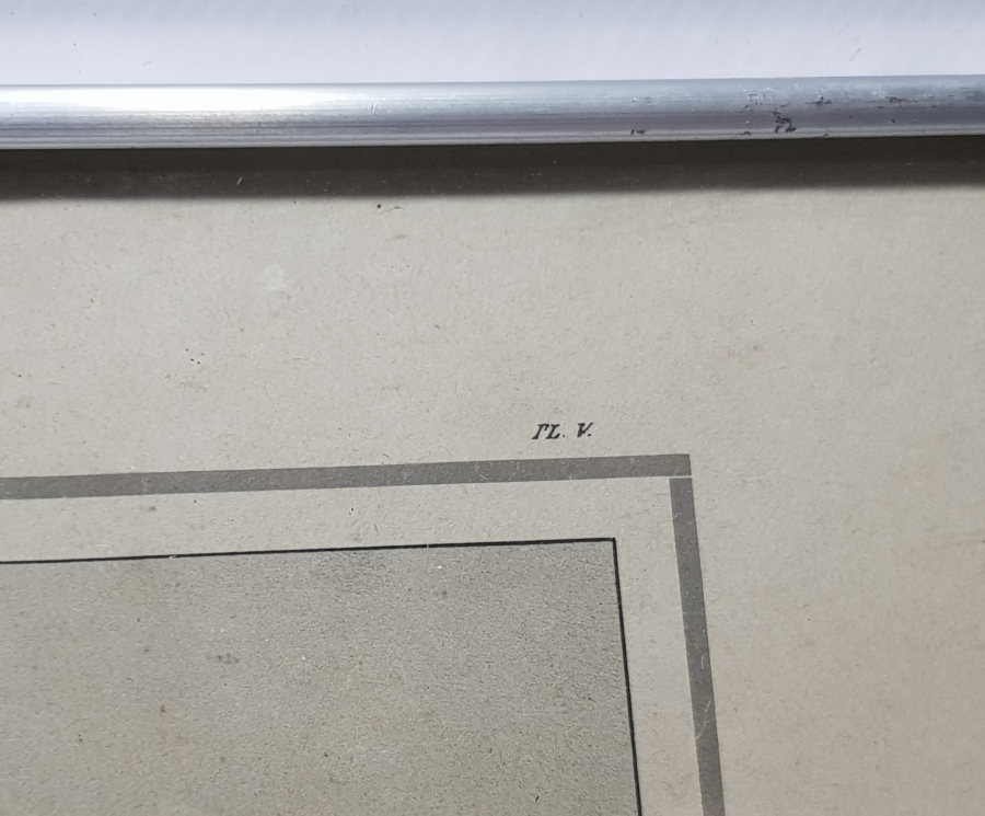 1900 BAŞLARI ANTİKA FRANSIZ GRAVÜR