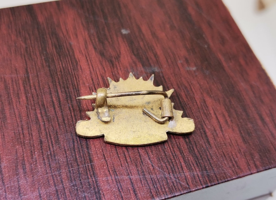 1. DÜNYA SAVAŞI DÖNEMİ ÇOK NADİR ANZAK SUBAY KOKARTI