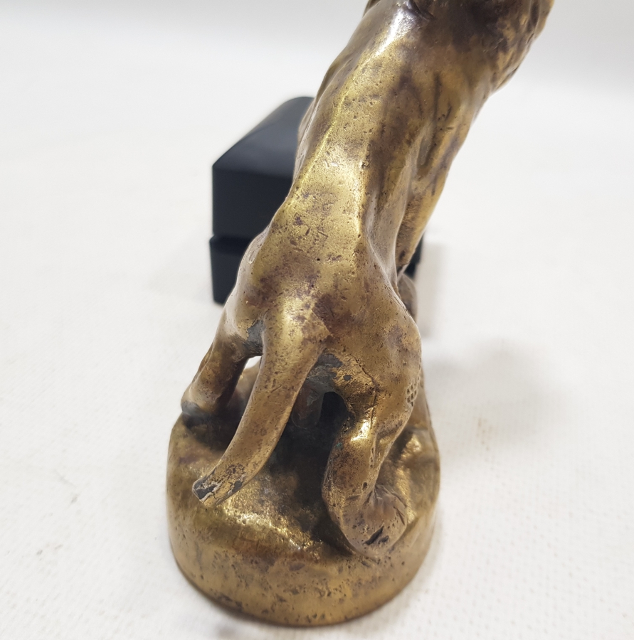 SANATÇI İMZALI 1900 BAŞLARI BRONZ ASLAN FİGÜRÜ