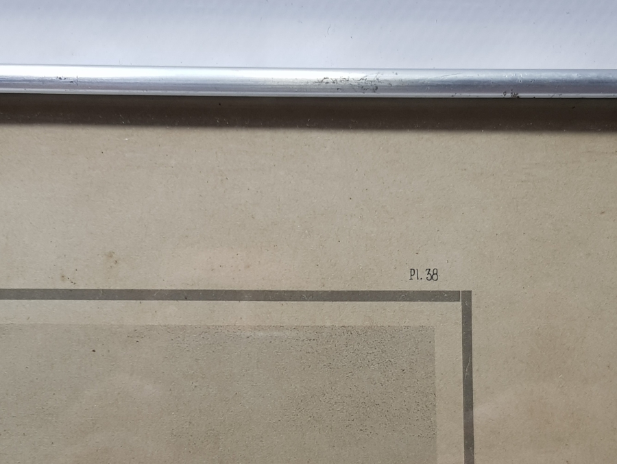 1900 BAŞLARI ANTİKA FRANSIZ GRAVÜR