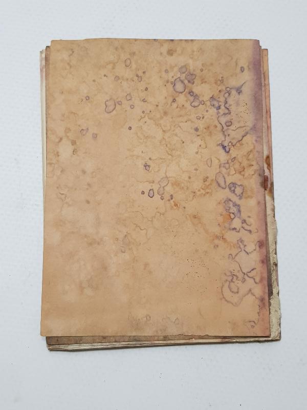 1931 CUMHURİYET HALK FIRKASI PROGRAMI