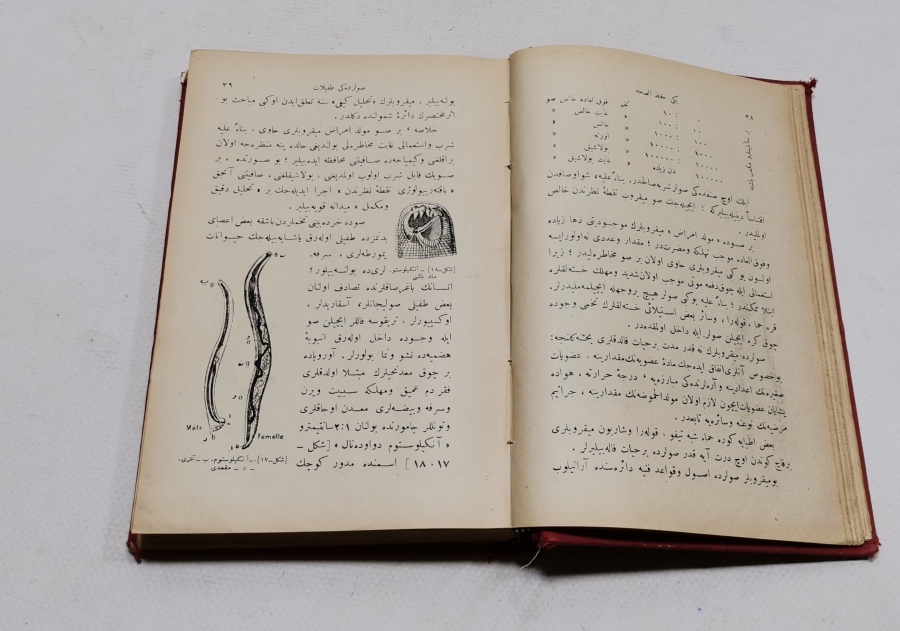 OSMANLI DÖNEMİ ÇOK NADİR HIFZISIHHA KİTABI