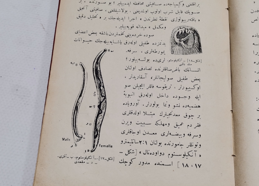 OSMANLI DÖNEMİ ÇOK NADİR HIFZISIHHA KİTABI