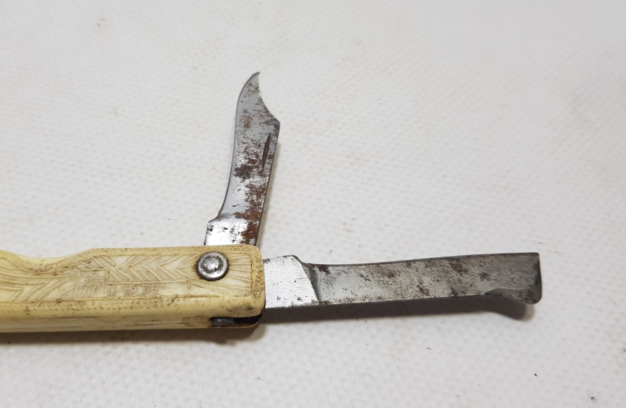 ANTİKA AŞI ÇAKISI