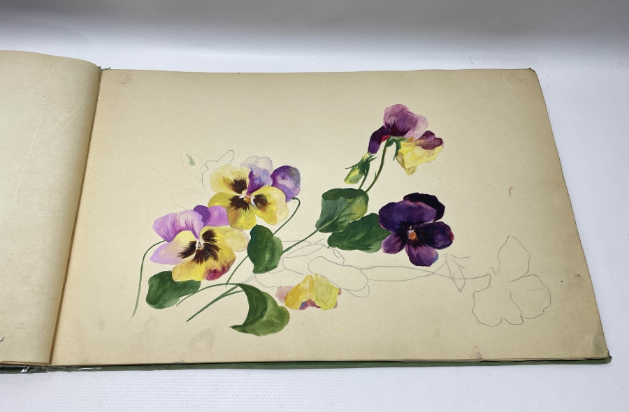 OSMANLI DÖNEMİ DEV BOYDA ÜZERİ OSMANLI DEVLET ARMALI RESİM DEFTERİ