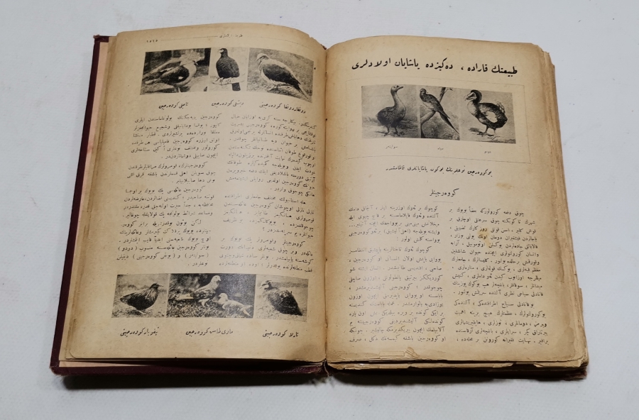 1928 TARİHLİ ORİJİNAL CİLDİNDE ÇOK NADİR ÇOCUK ANSİKLOPEDİSİ