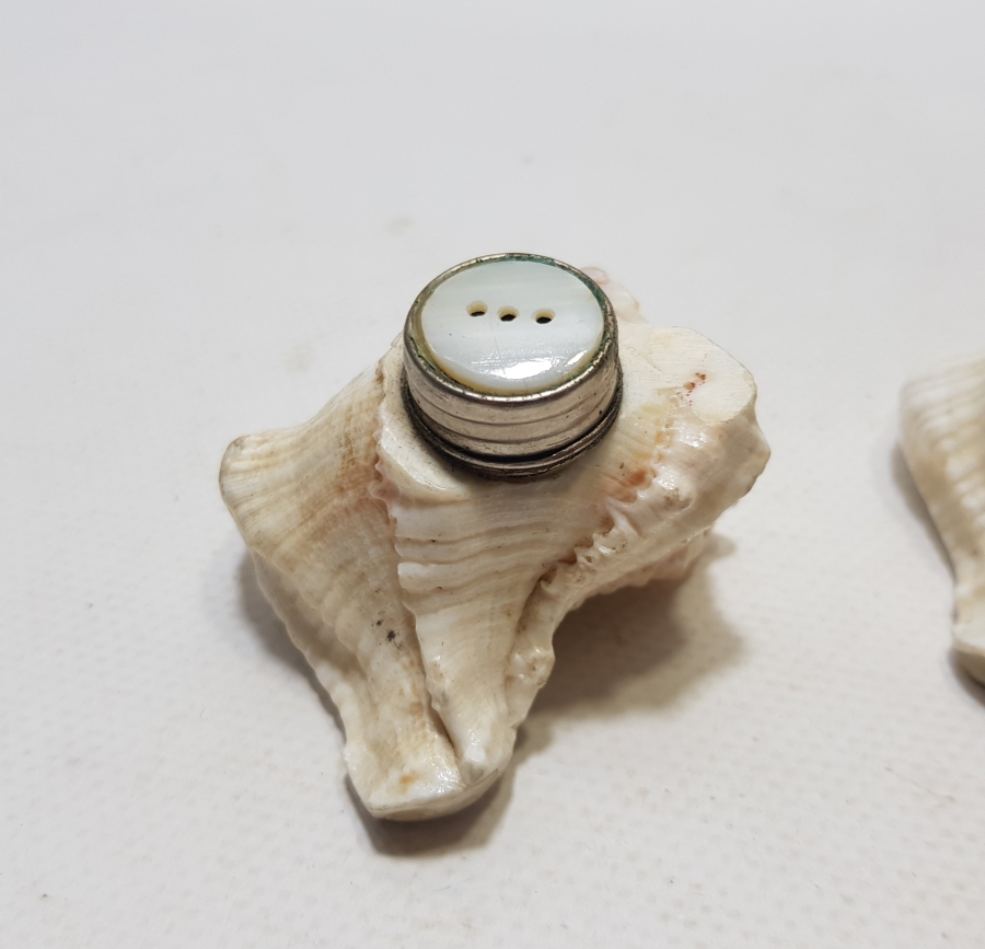 DENİZ KABUĞUNDAN YAPILMIŞ ANTİKA ÇİFT TUZLUK - BAHARATLIK