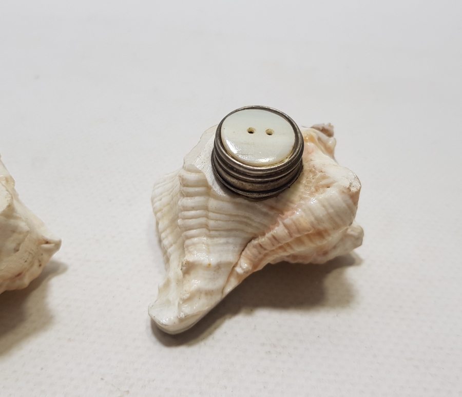 DENİZ KABUĞUNDAN YAPILMIŞ ANTİKA ÇİFT TUZLUK - BAHARATLIK