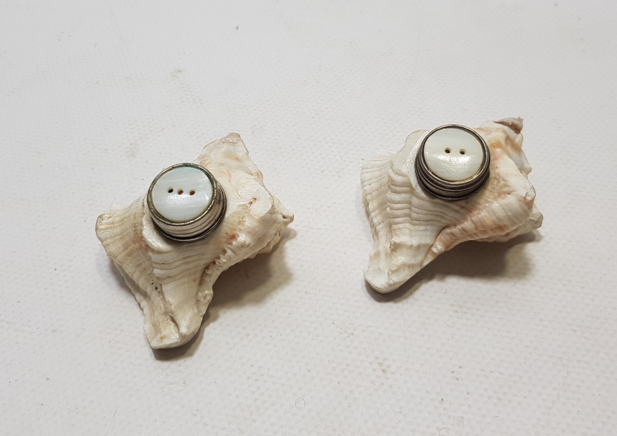 DENİZ KABUĞUNDAN YAPILMIŞ ANTİKA ÇİFT TUZLUK - BAHARATLIK