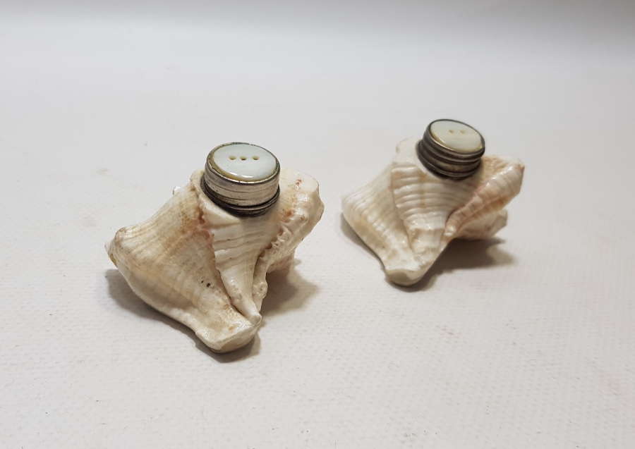 DENİZ KABUĞUNDAN YAPILMIŞ ANTİKA ÇİFT TUZLUK - BAHARATLIK