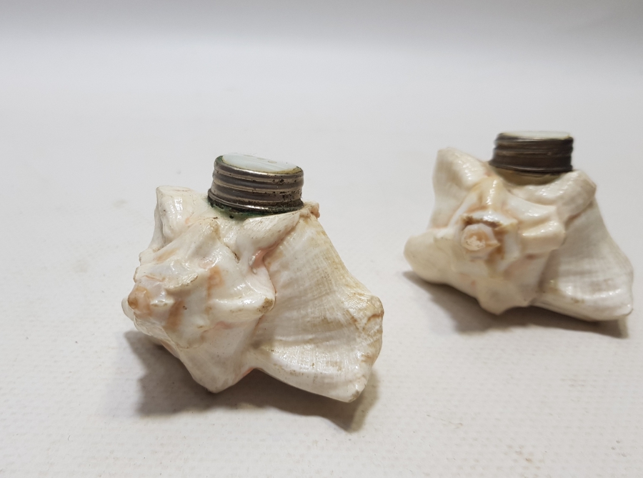 DENİZ KABUĞUNDAN YAPILMIŞ ANTİKA ÇİFT TUZLUK - BAHARATLIK