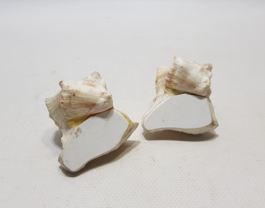 DENİZ KABUĞUNDAN YAPILMIŞ ANTİKA ÇİFT TUZLUK - BAHARATLIK