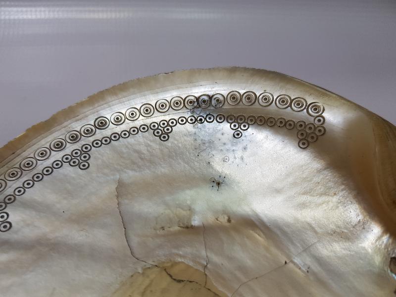 OSMANLI DÖNEMİ TILSIMLI DENİZ KABUĞU ŞİFA TASI