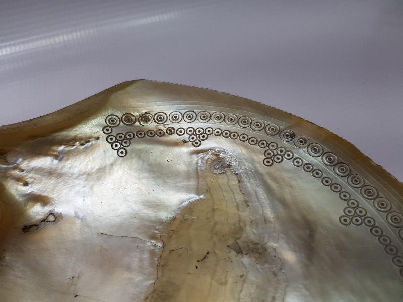 OSMANLI DÖNEMİ TILSIMLI DENİZ KABUĞU ŞİFA TASI