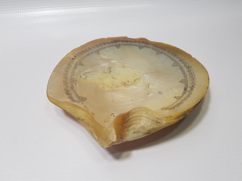 OSMANLI DÖNEMİ TILSIMLI DENİZ KABUĞU ŞİFA TASI