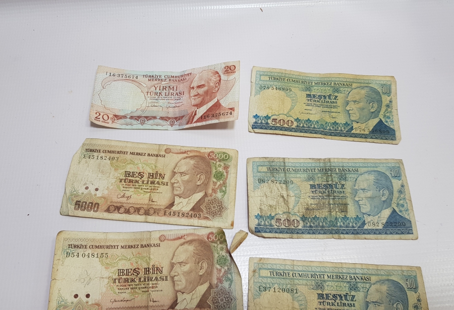 ANTİKA KAĞIT PARA LOTU