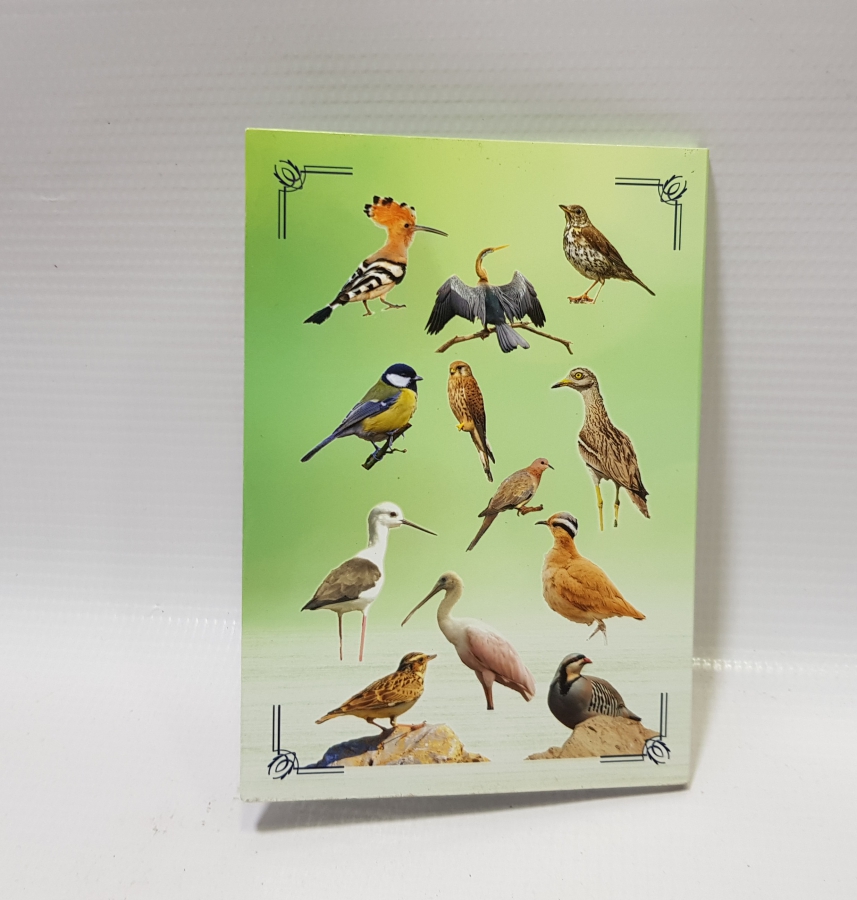 2020 ANADOLU'YA ÖZGÜ KUŞLAR HATIRA PARA SETİ