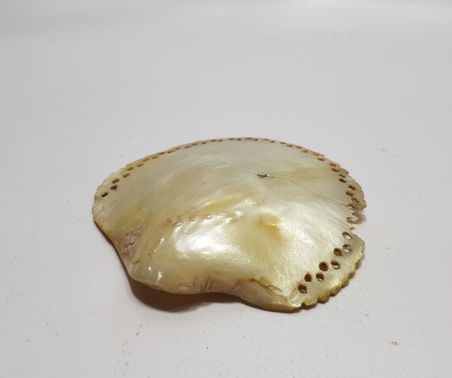 OSMANLI DÖNEMİ TILSIMLI DENİZ KABUĞU ŞİFA TASI