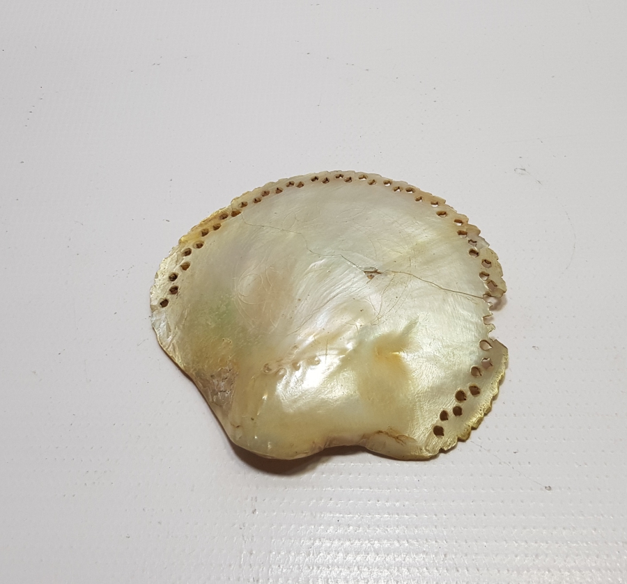 OSMANLI DÖNEMİ TILSIMLI DENİZ KABUĞU ŞİFA TASI