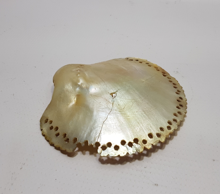 OSMANLI DÖNEMİ TILSIMLI DENİZ KABUĞU ŞİFA TASI