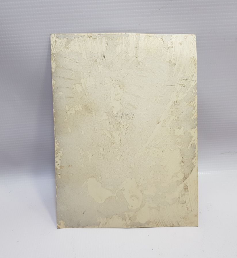 2. DÜNYA SAVAŞI ALMAN NAZİ SUBAY RESMİ