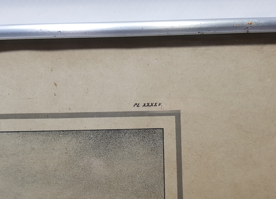 FRANSIZ YAPIMI ANTİKA GRAVÜR