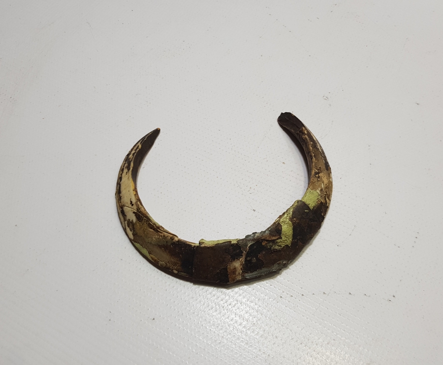 OSMANLI DÖNEMİ ANADOLU ŞAMAN KÜLTÜRÜ KAPI TILSIMI DOMUZ DİŞİ