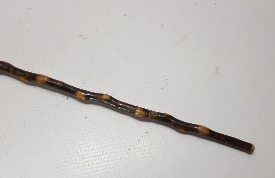 ANTİKA KARTAL BAŞLI AHŞAP BASTON