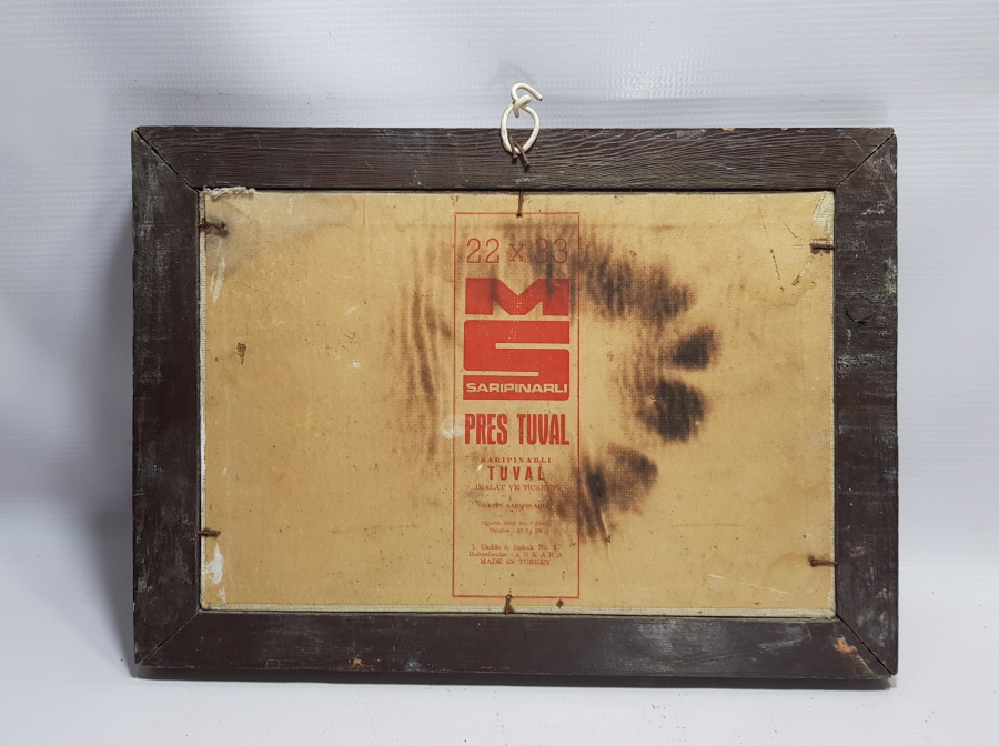 ŞÜKRAN İMZALI YAĞLI BOYA TABLO