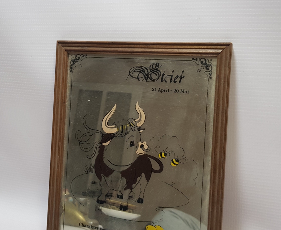 BOĞA VE ARI RESİMLİ VİNTAGE AYNA