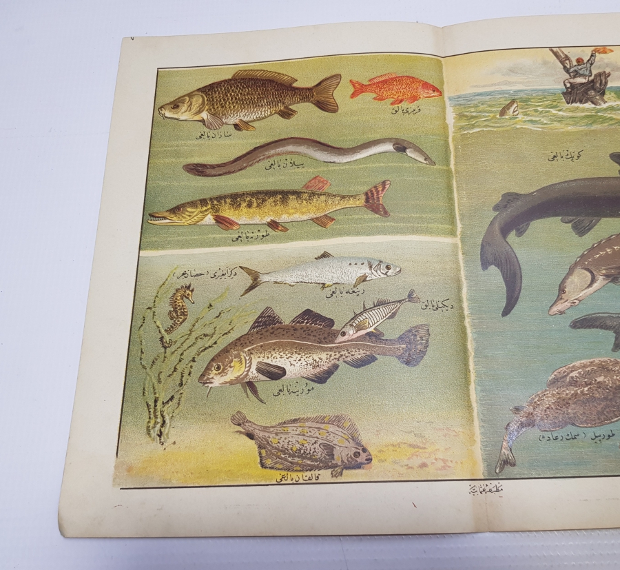 OSMANLI DÖNEMİ DENİZ CANLILARI KONULU LEVHA