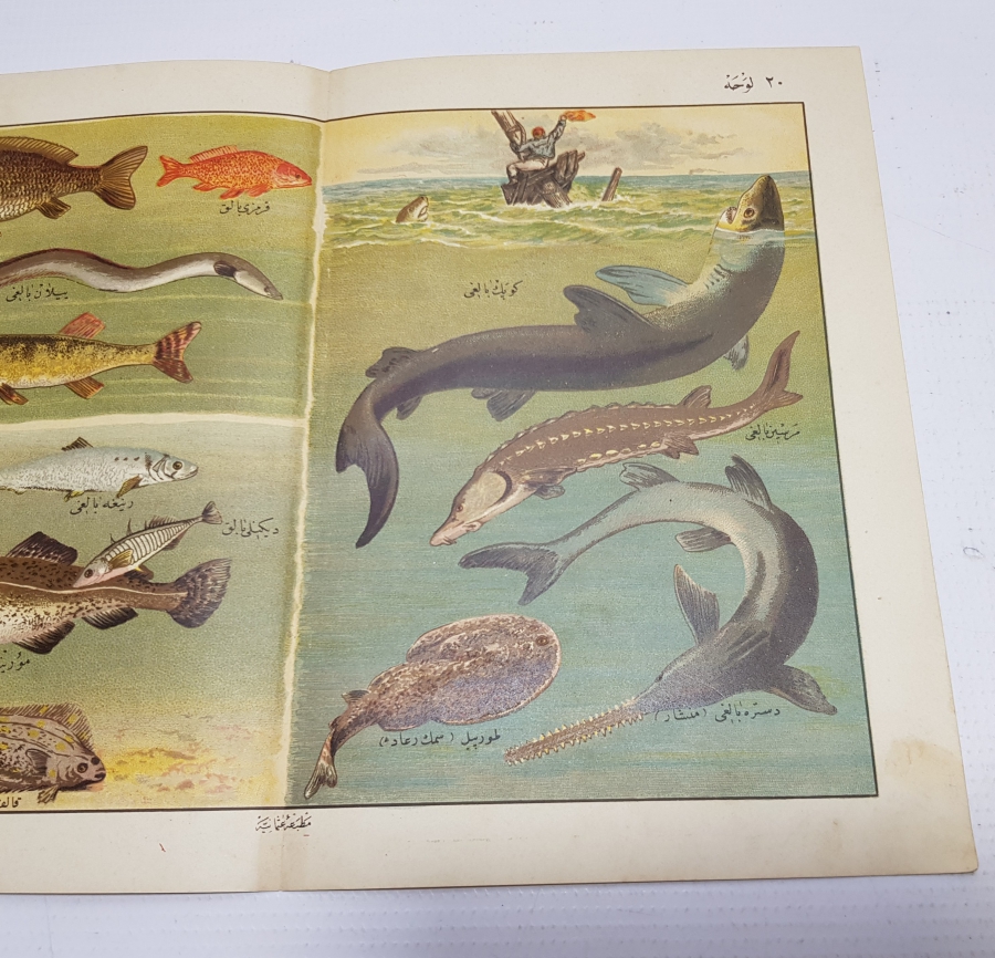 OSMANLI DÖNEMİ DENİZ CANLILARI KONULU LEVHA