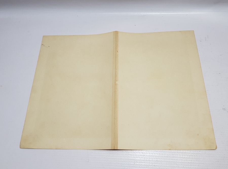 OSMANLI DÖNEMİ DENİZ CANLILARI KONULU LEVHA