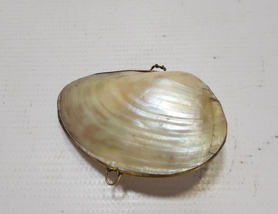 OSMANLI DÖNEMİ İSTANBUL RESİMLİ VE OSMANLICA YAZILI DENİZ KABUĞU MÜCEVHER KUTUSU