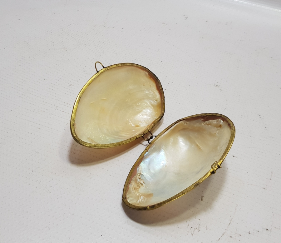 OSMANLI DÖNEMİ İSTANBUL RESİMLİ VE OSMANLICA YAZILI DENİZ KABUĞU MÜCEVHER KUTUSU