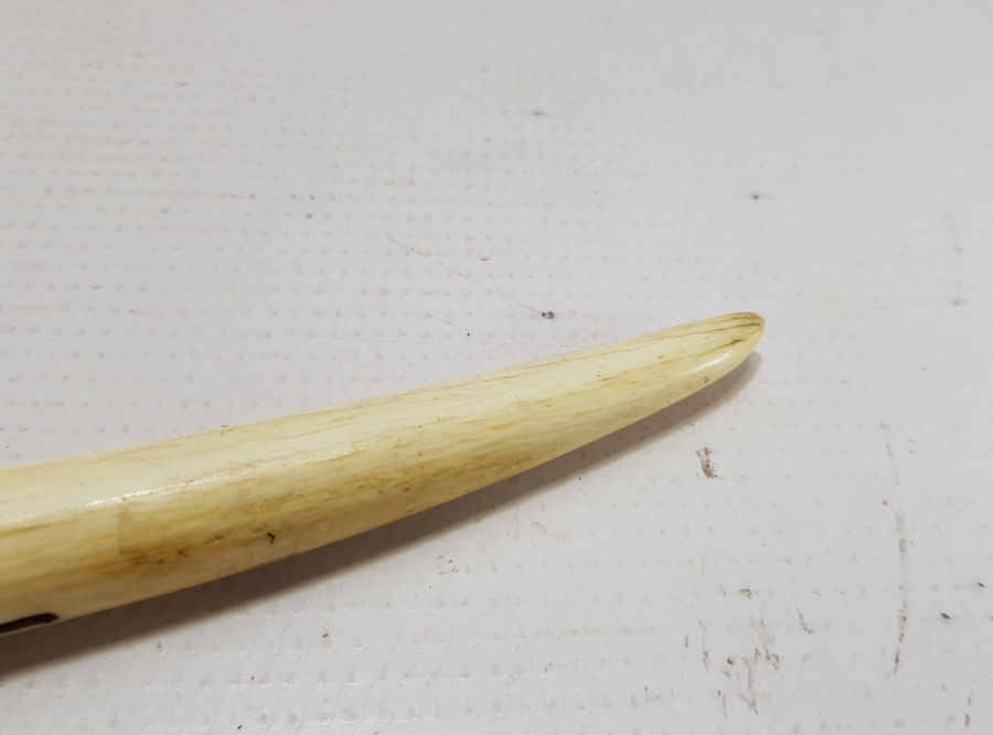 ANTİKA MORS DİŞİ PURO KESECEĞİ