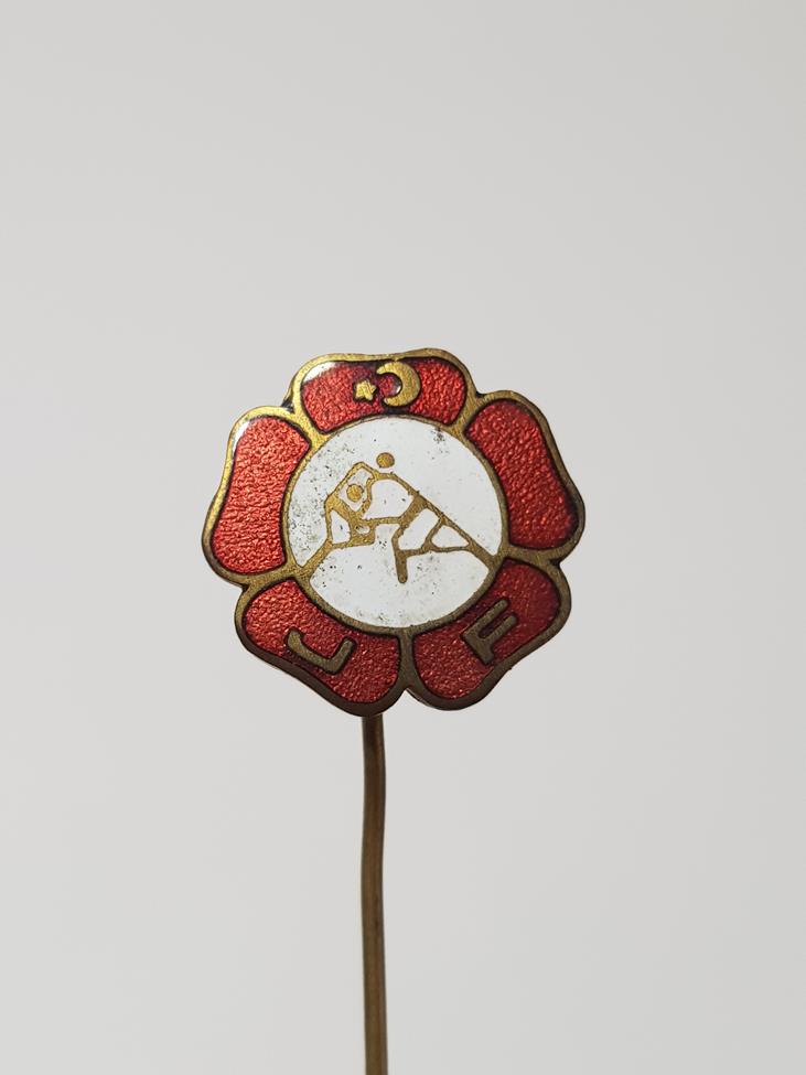 TÜRKİYE JUDO FEDERASYONU MİNELİ ROZET