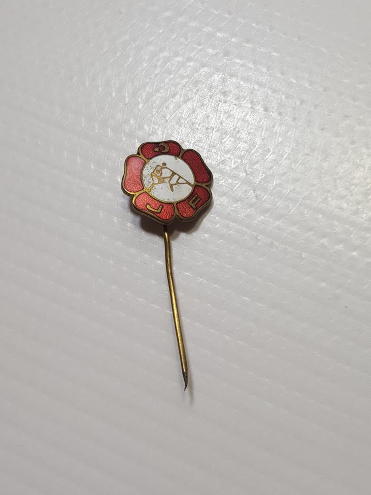 TÜRKİYE JUDO FEDERASYONU MİNELİ ROZET