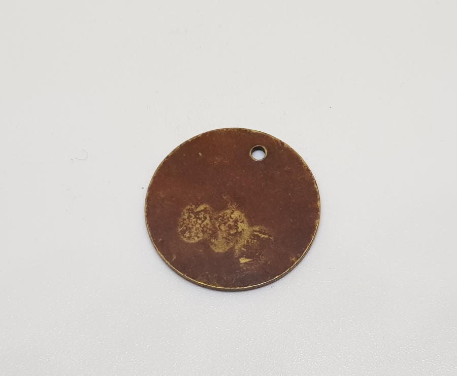 ANTİKA BEŞİKTAŞ BELEDİYESİ KÖPEK KÜNYESİ