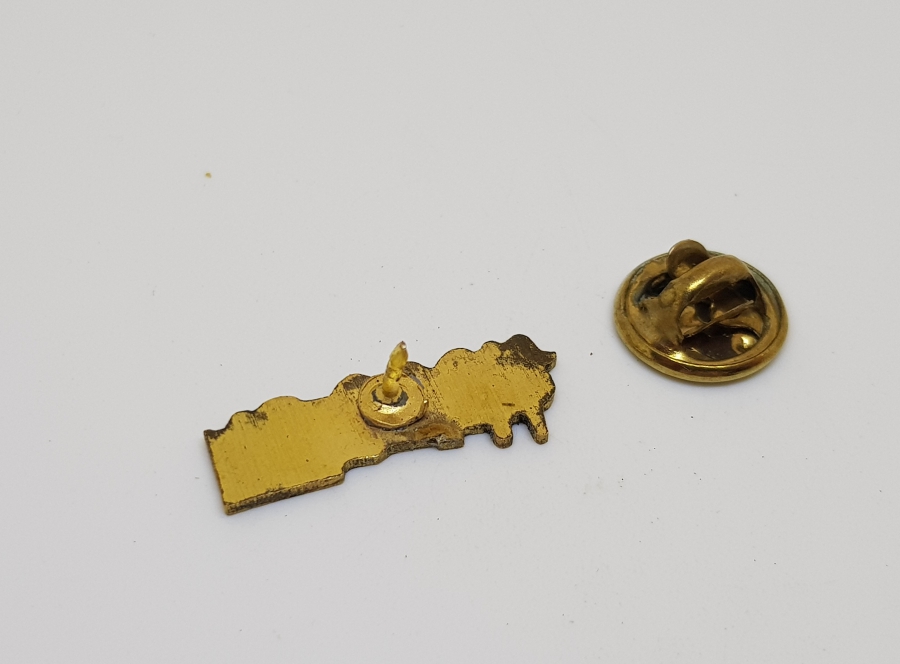 DEVLET DEMİR YOLLARI ROZETİ