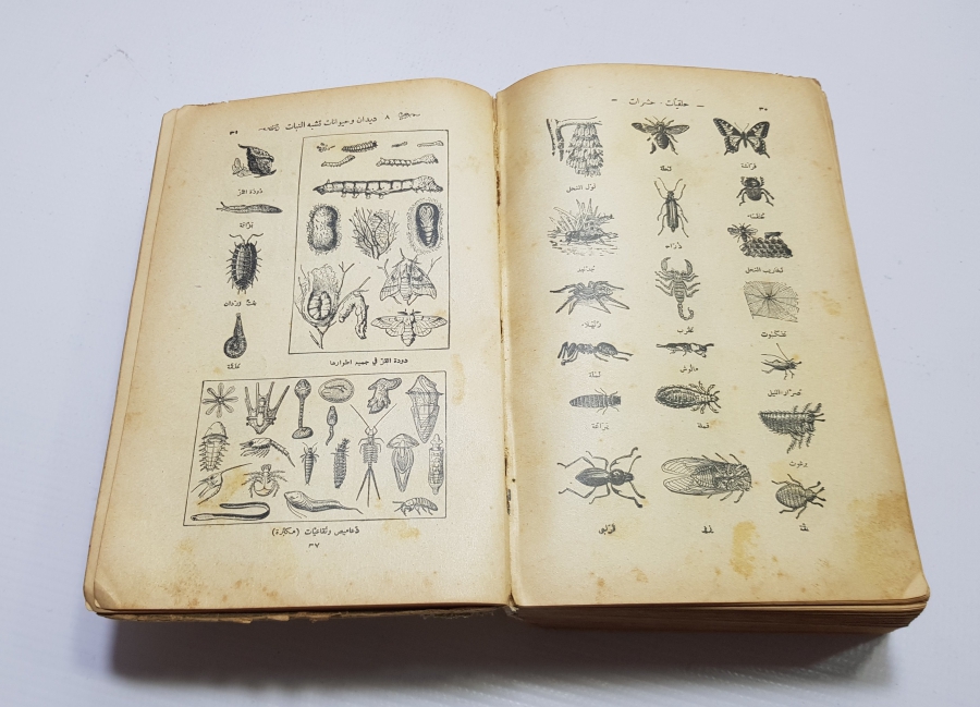 ANTİKA ARAPÇA LUGAT